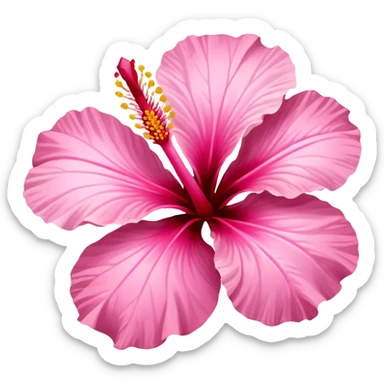 Pink Hibiscus flower  sticker
