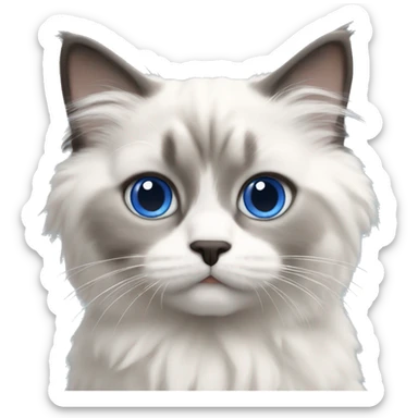 blue point ragdoll kitten sticker