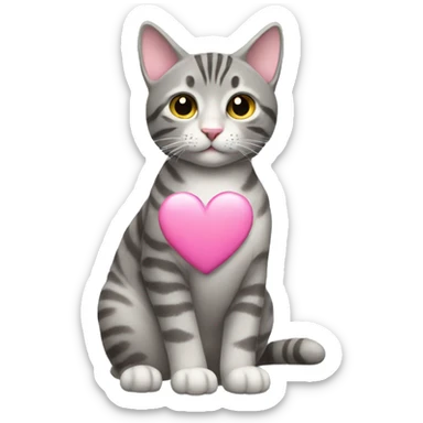 gray tabby cat with pink heart sticker