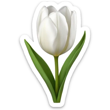 White tulips sticker