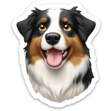 Australian shepherd head with half white fac sticker