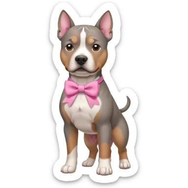 Gray amstaff with a pink bow sticker