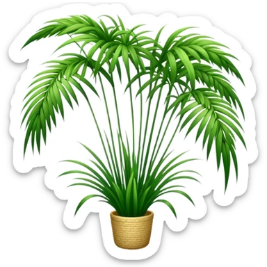 Tall reed-like papyrus plant with feathery tops, green stems and umbrella-shaped foliage sticker