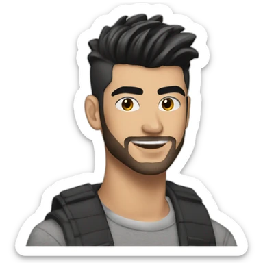 Zayn Malik sticker