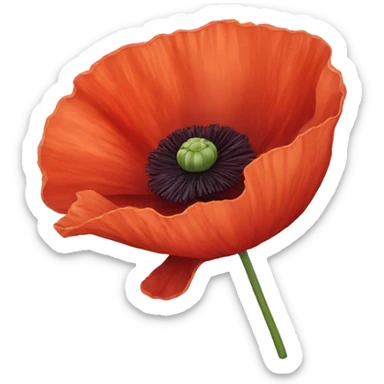 Poppy flower  sticker