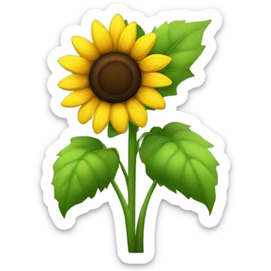 Sunflower sticker