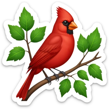 Ultra realistic detailed cite cardinal bird, on tree branch with green leaves sticker