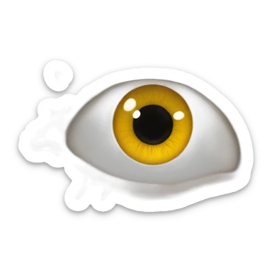 anatomy eye scheme sticker