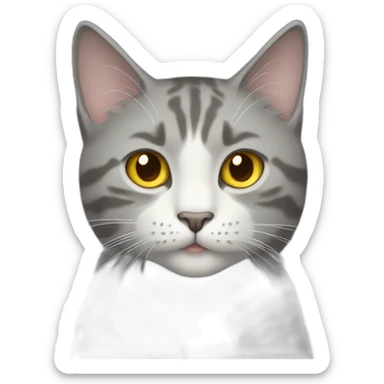 The "🐱" emoji but the cat is gray and have yellow eyes sticker