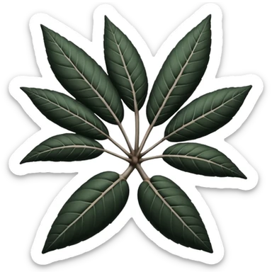 



cassava root black and white sticker