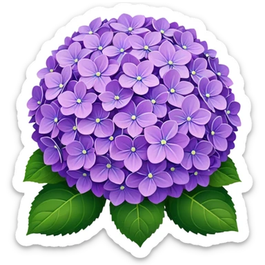 Hydrangea sticker