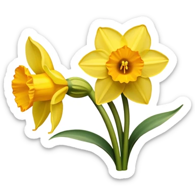 Daffodils flower  sticker