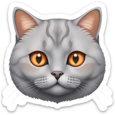 British shorthair silver gradient cat with copper eyes and dense coat sticker