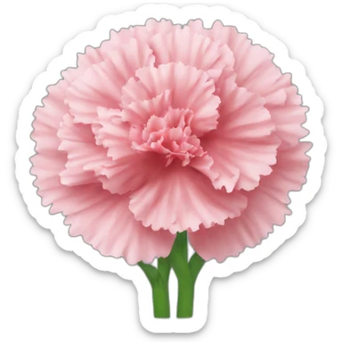 carnation sticker