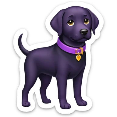 Black lab wearing purple collar sticker