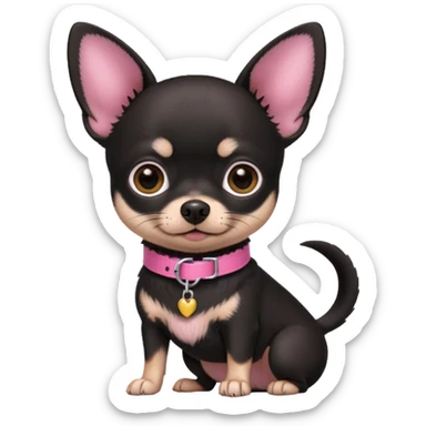 Black chihuahua with pink collar  sticker