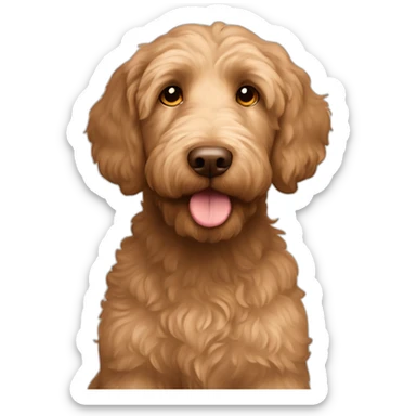 Young Labradoodle brown apricot straight coat with big ears brown eyes sticker