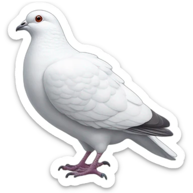 a-white-pigeon sticker