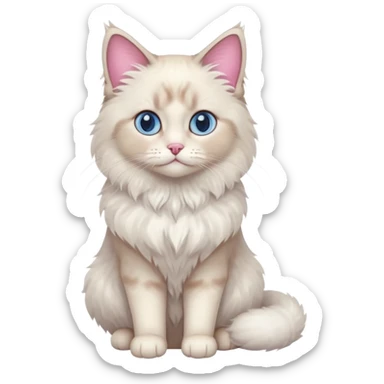 Cute adorable elegant pretty petite Ragdoll cat sitting full body sticker