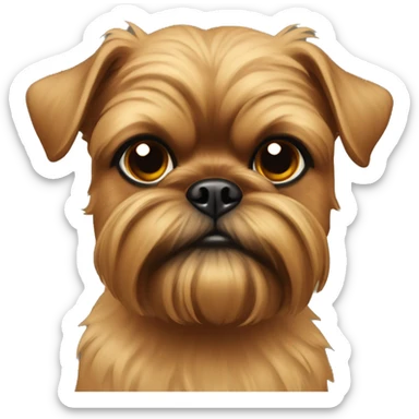 Tan Brussels griffon looking at viewer sticker