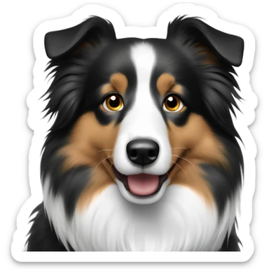 Black and white Sheltie  sticker