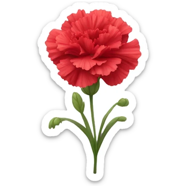 red head Carnation flower sticker