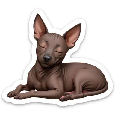 Meme-Worthy Cute Sleeping Xoloitzcuintle dog Portrait Emoji, Head resting peacefully with a contented smile, showcasing a sleek, muscular build with smooth, hairless ebony skin and gently relaxed wrinkles, eyes shut in a serene nap, Simplified yet hilariously adorable features, highly detailed, glowing with a soft, drowsy light, high shine, relaxed and utterly lovable, stylized with an air of playful laziness, bright and heartwarming, soft glowing outline, capturing the essence of a comically sleepy guardian, so meme-worthy it feels like it could instantly become the next viral sensation of adorable slumber! sticker