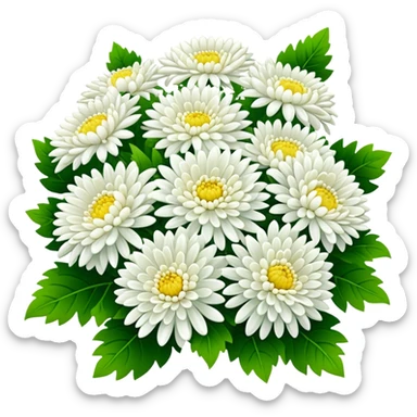 big bouquet White Chrysanthemum, luxuriant, leaf, bud sticker