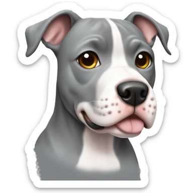 Cute grey pitbull with white chest  sticker