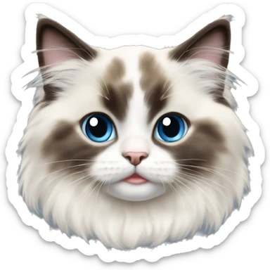 Ragdoll kitten sticker
