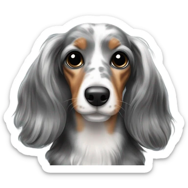 Long-haired marble dachshund sticker
