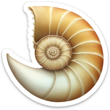 Nautilus shell sticker