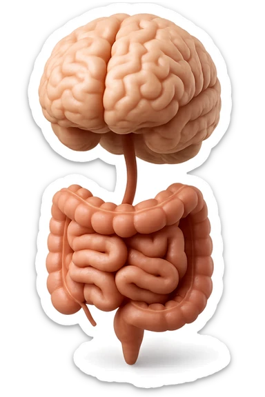 emoji stile iphone in 3d di cervello e intestino collegati verticalmente, iperrealistico 4k sticker