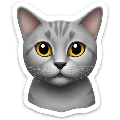 British short hair cat grey sticker