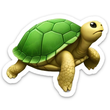 tortue avec un bitcoin de gravé dessus sticker
