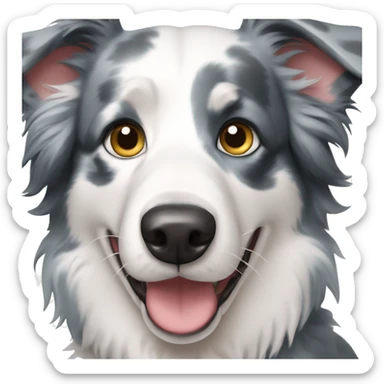 Blue merle border collie dog sticker