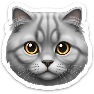 all grey Scottish Fold Cat long hair sticker