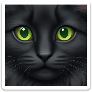Fluffy black cat with green eyes sticker