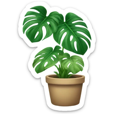 Monstera plant sticker