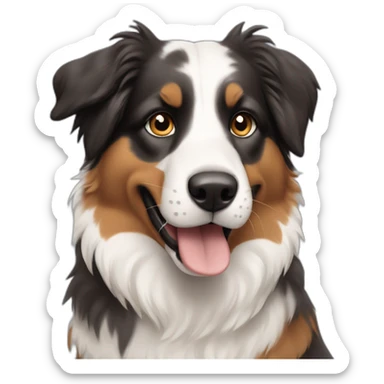 australian sheperd sticker