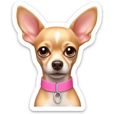 Tan chihuahua wearing thin pink collar sticker