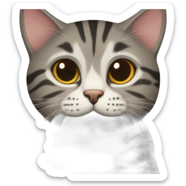 european cat with dark pinstripe tabby color and dark wool sticker