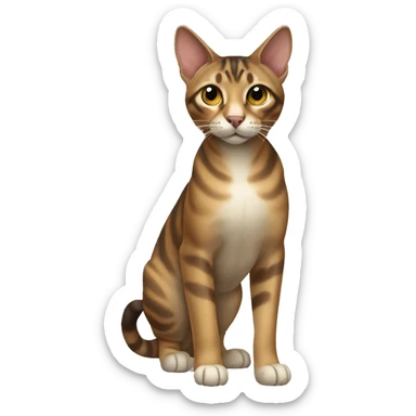Sokoke Cat Breed Full Body sticker