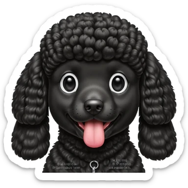 A high-resolution square-format digital illustration of a black poodle in a clean, semi-realistic style. The poodle is shown from the chest up, facing forward with a slight tilt of the head to the left, tongue out playfully. sticker