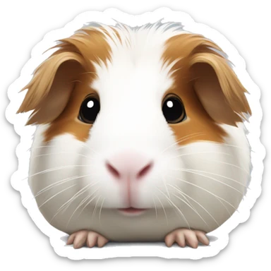 Long-haired white guinea pig with brown patch on eye sticker