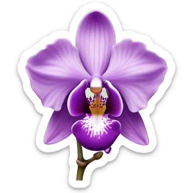 orchid sticker