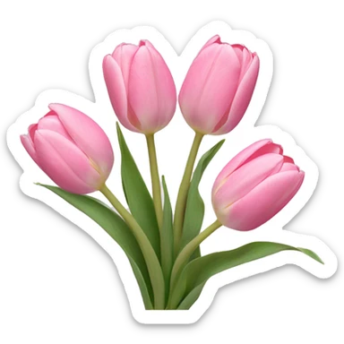 Three pastel pink tulips sticker
