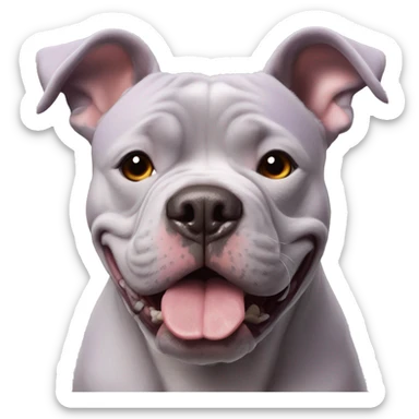 Lilac tri XL American Bully dog sticker