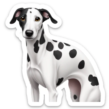 Black and white white withblack spots whippet dog
 sticker