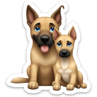 blond boy blue eyes cuddling a malinois sticker